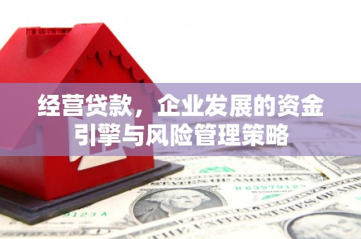 迁西经营贷款，企业发展的资金引擎与风险管理策略