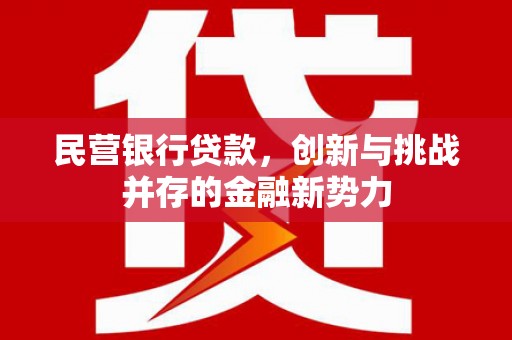 迁西民营银行贷款，创新与挑战并存的金融新势力