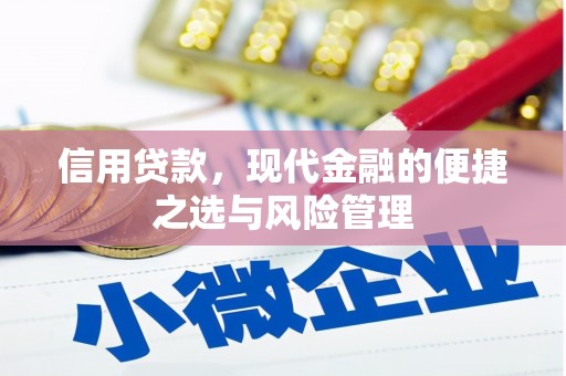 迁西信用贷款，现代金融的便捷之选与风险管理