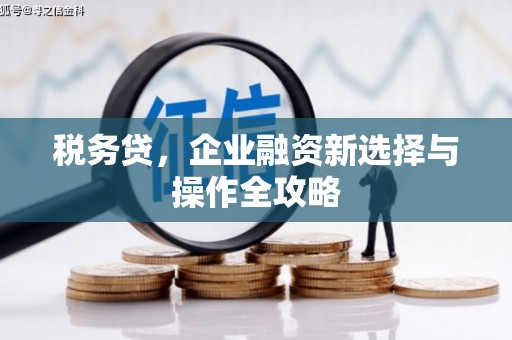 迁西税务贷，企业融资新选择与操作全攻略