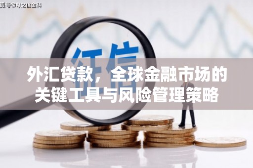 迁西外汇贷款，全球金融市场的关键工具与风险管理策略