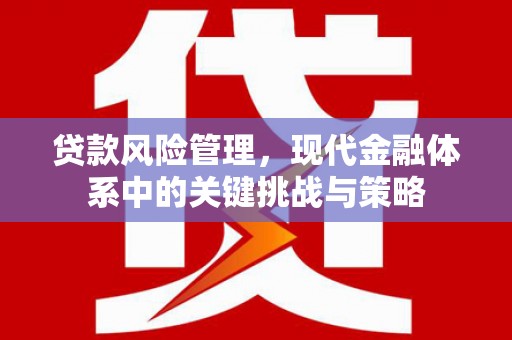 迁西贷款风险管理，现代金融体系中的关键挑战与策略