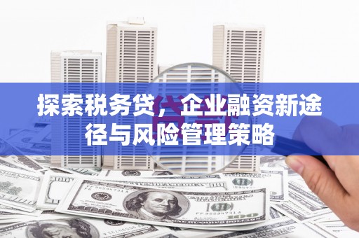 迁西探索税务贷，企业融资新途径与风险管理策略