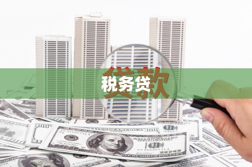 迁西税务贷
