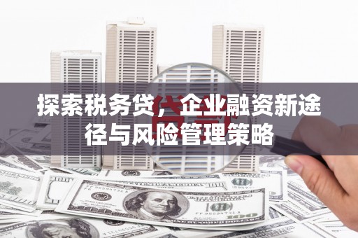 迁西探索税务贷，企业融资新途径与风险管理策略