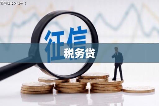 迁西税务贷