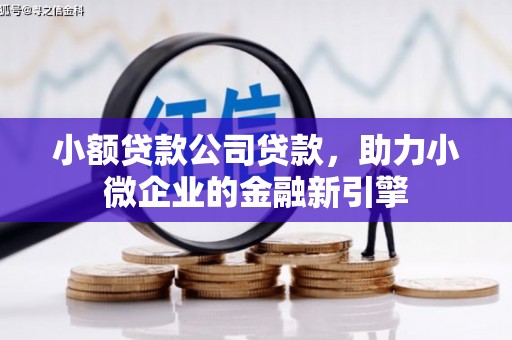 迁西小额贷款公司贷款，助力小微企业的金融新引擎