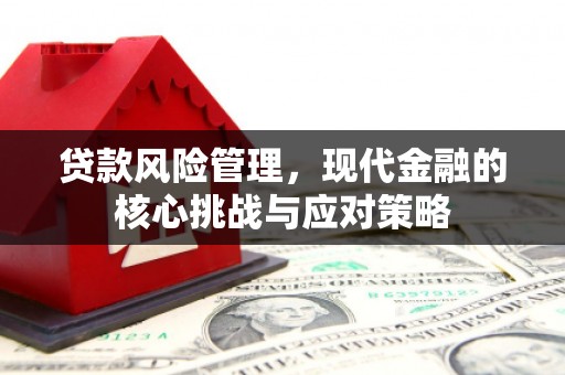 迁西贷款风险管理，现代金融的核心挑战与应对策略