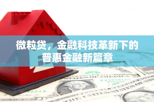 迁西微粒贷，金融科技革新下的普惠金融新篇章