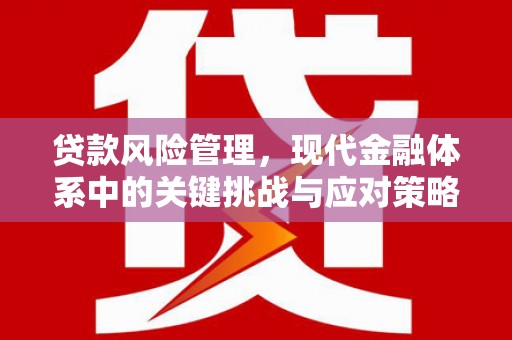 迁西贷款风险管理，现代金融体系中的关键挑战与应对策略
