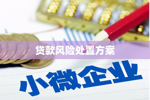 迁西贷款风险处置方案
