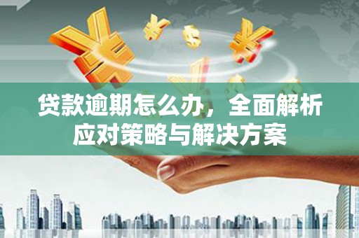 迁西贷款逾期怎么办，全面解析应对策略与解决方案