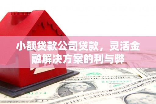 迁西小额贷款公司贷款，灵活金融解决方案的利与弊